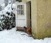 Ravent sous la neige poules2