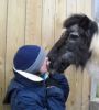 Bisou à Princesse