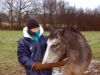 Céline et son cheval