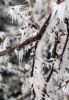 effets de givre