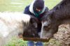 Les chevaux sont aussi à la fête