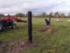 le nouveau parc à bestiaux en construction