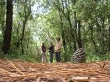 En route pour la plage ! Petite marche à travers la pinède... Le temps est maussade, nous n'apercevons donc pas âme qui vive ; On s'y sent bien dans cette forêt.