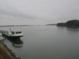 Ah mon beau Danube gris!!!