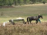 travaux des champs