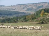 paysage de Transylvanie