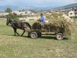 Beaucoup de charettes sur les routes