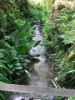 La rivière qui traverse Isabella Plantation