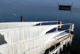 le lac de Grandson : oasis sous la glace...