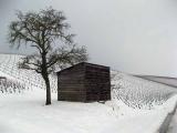 cabane de vigneron sous la neige