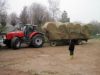 Le tracteur qui amène le foin plait beaucoup à Alban.jpg