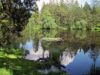 etang-de-la-Gruere-dans-le-Jura-Suisse.jpg