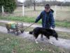 Alban-en-route-pour-nourrir les chevaux