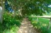 Sark - chemin