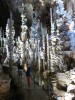 Balade dans la forêt pétrifiée