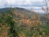 Randonnée au Col des abeilles