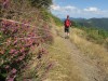 Randonnée du Col des Abeilles