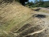 Randonnée au Col de Jalcreste