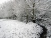 Ravent-sous-neige1.jpg