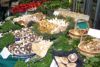 Champignons magnifiques