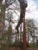 chemin de balade au sommet des arbres